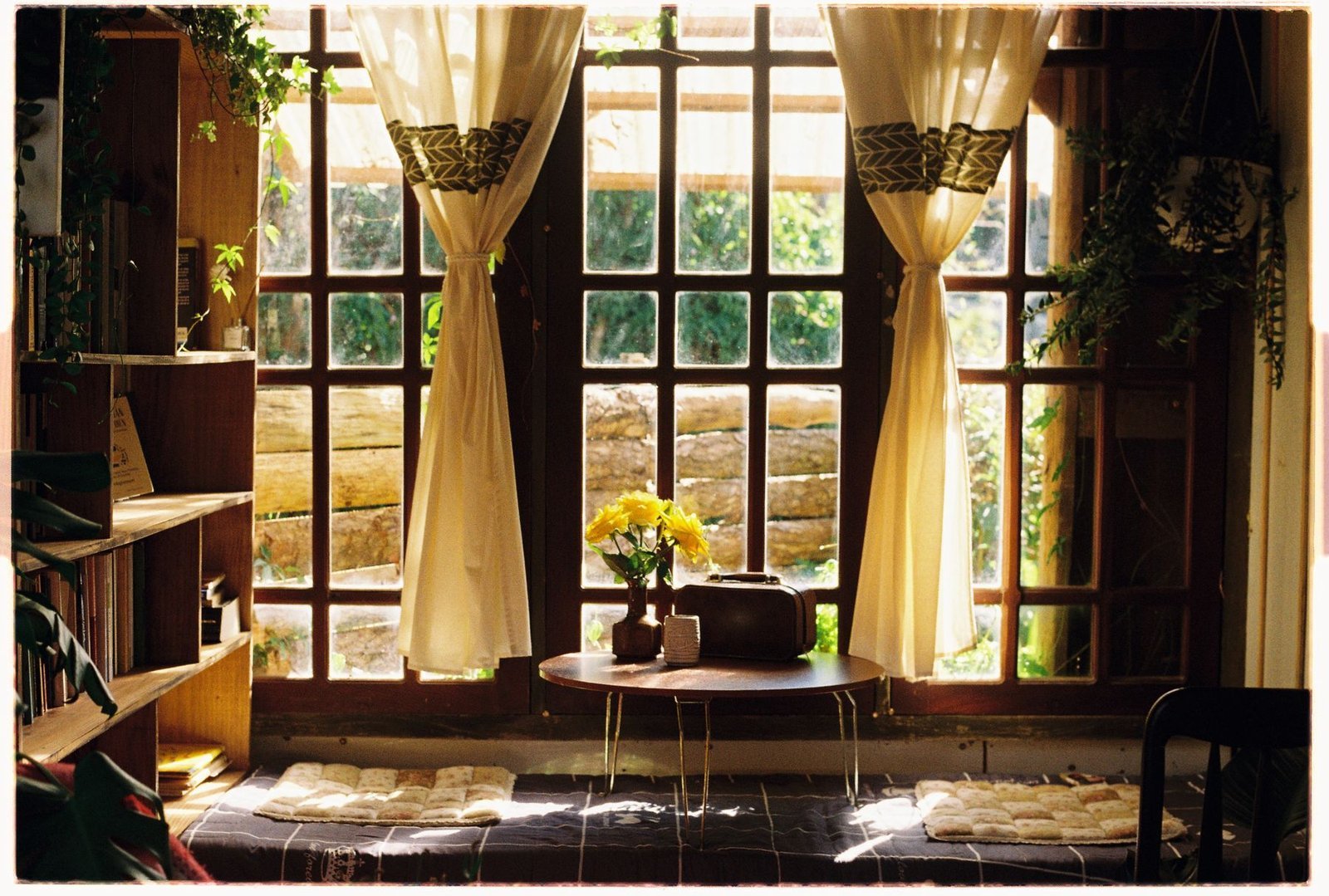 Sunlit room with tall timber-framed windows, curtains and a table with flowers